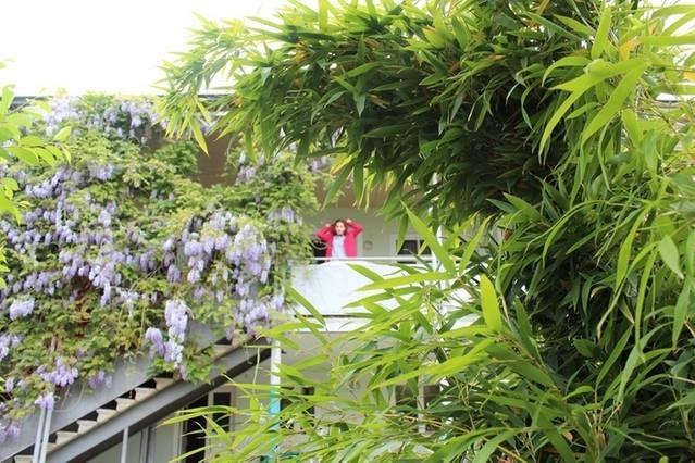 Guesthouse Natali Τελάβι Εξωτερικό φωτογραφία