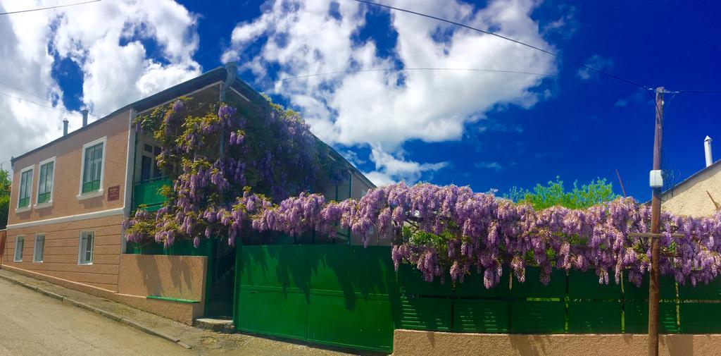 Guesthouse Natali Τελάβι Εξωτερικό φωτογραφία